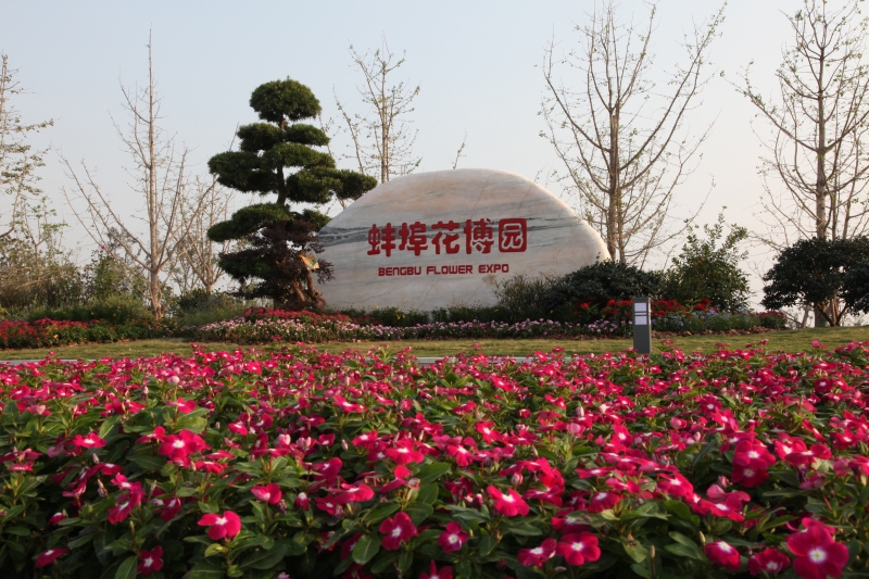 蚌埠市花博园