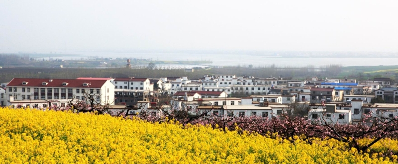 美丽乡村——宗洼村