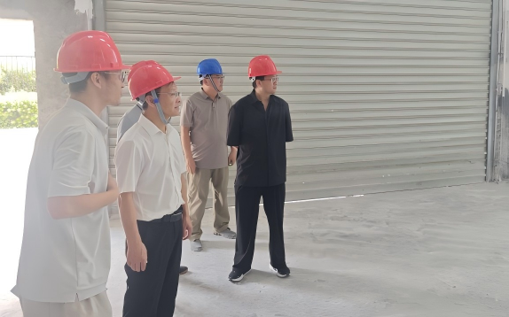 张斌调研督导重点项目建设工作
