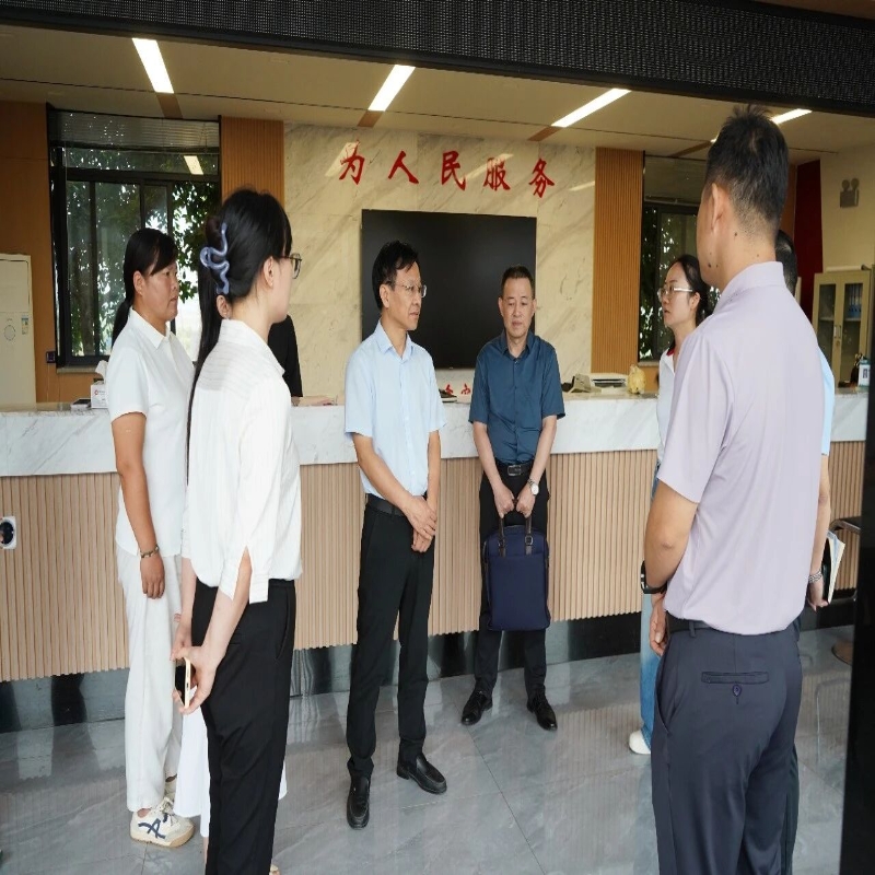 张斌调研督导群众身边不正之风和腐败问题集中整治工作